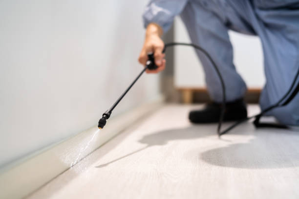 Licensed Pest Control service in Jonesville, MI - Show Me Pest Control