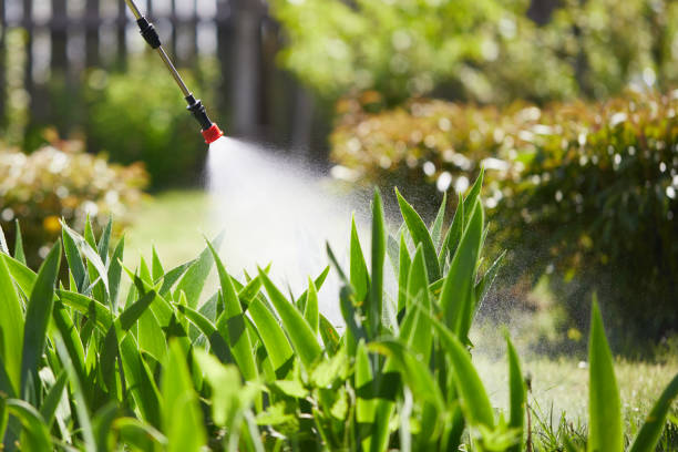 Tamper-Resistant Bait Stations for Rodents in Jonesville