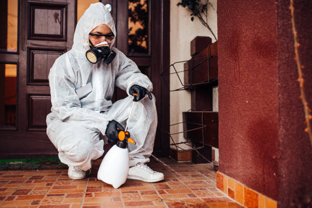 Attic and Crawl Space Rodent Treatment in Jonesville