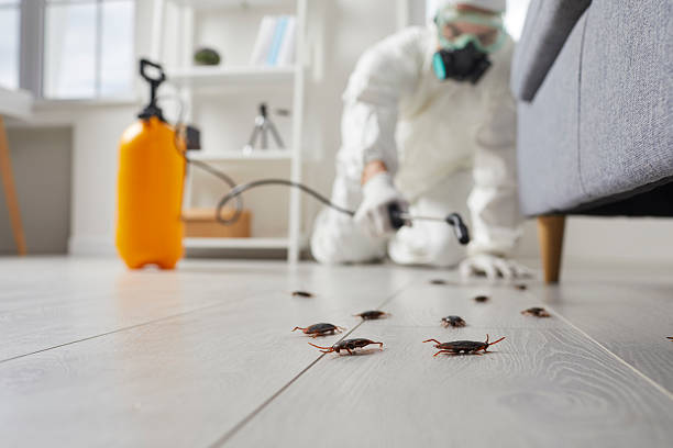Commercial Rodent Management in Jonesville